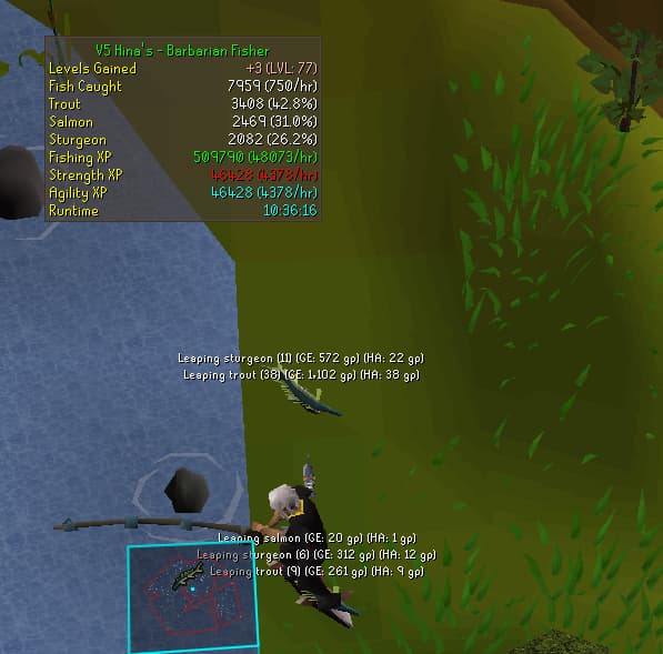 Barbarian Fishing — Otto's Grotto